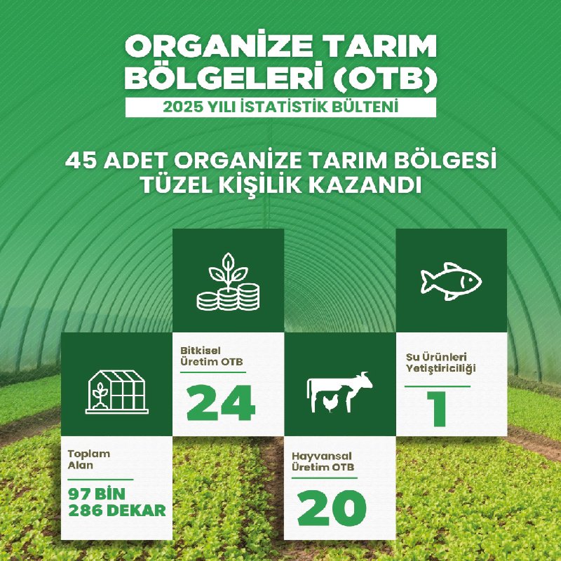 Organize Tarım Bölgeleri 2025 Yılı İstatistikleri