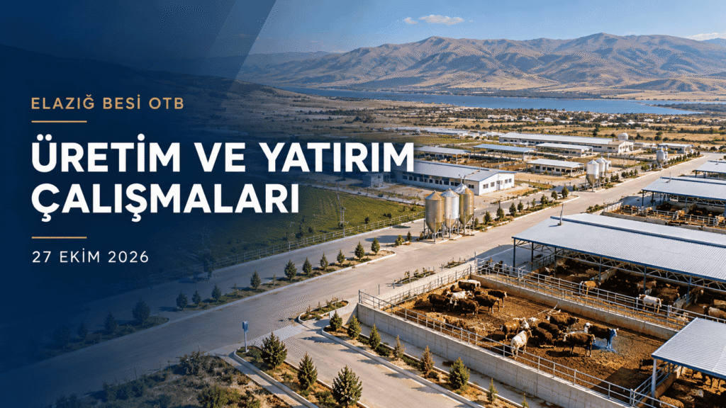 Elazığ Besi Organize Tarım Bölgesi’nde Üretim ve Yatırım Çalışmaları