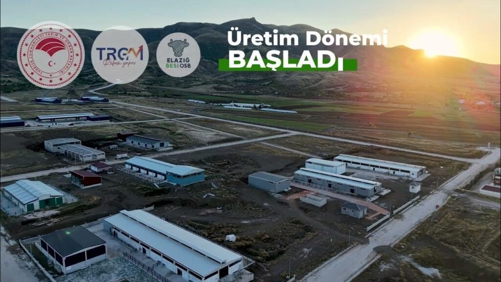 Elazığ Besi OTB’de Çiftliklere İlk Hayvanlar Geldi Üretim Başladı