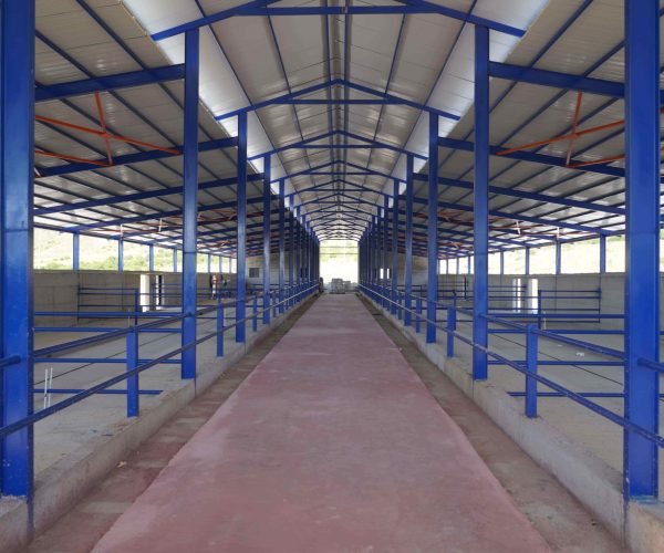 Elazığ-Besi-OTB-Haziran-2026 (37)